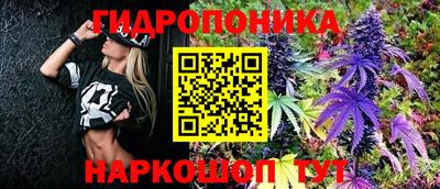 ECSTASY Заводоуковск