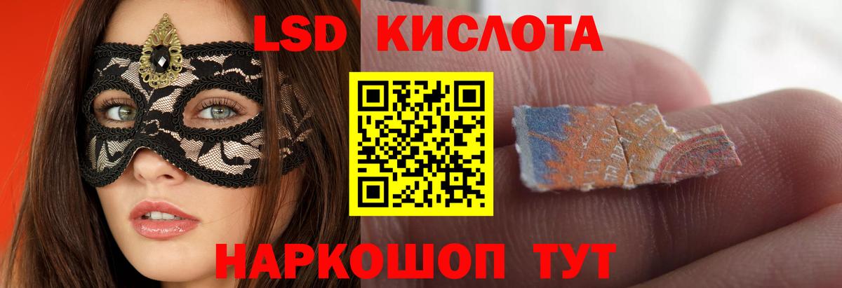 Новозыбков  LSD-25 экстази ecstasy  Вход с VPN  Лсд 25 экстази ecstasy 