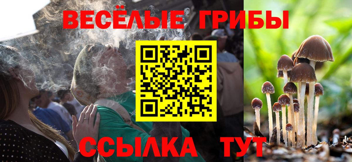 Галлюциногенные грибы GOLDEN TEACHER Новозыбков