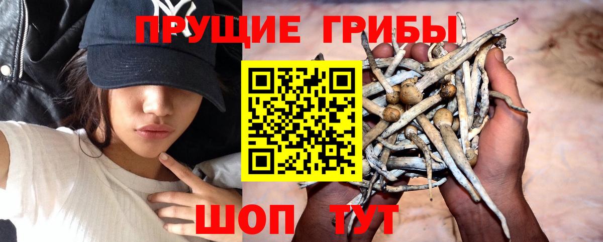 Псилоцибиновые грибы мухоморы  Вход с VPN  Новозыбков  Галлюциногенные грибы мицелий 