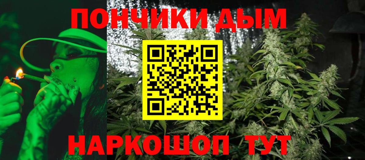 Канабис планчик Новозыбков