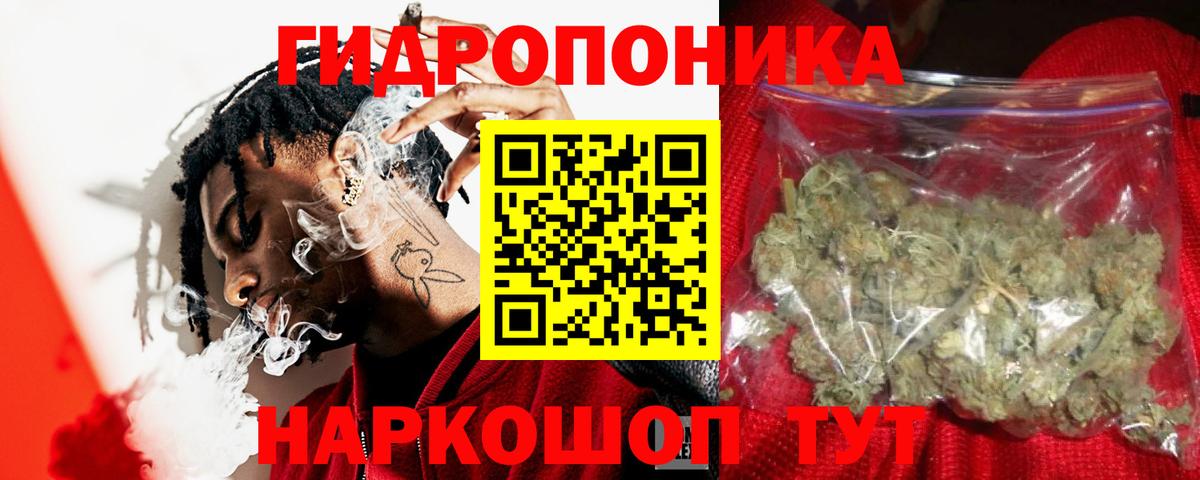 Новозыбков  Каннабис SATIVA & INDICA  Вход с VPN  Каннабис AK-47  Бошки Шишки Ganja 